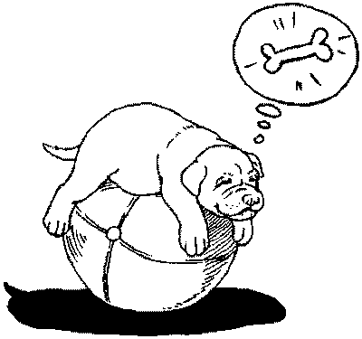 97150-i_008.png